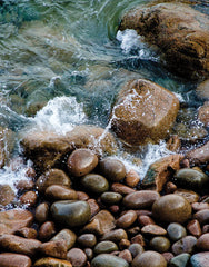 Acadia Surf